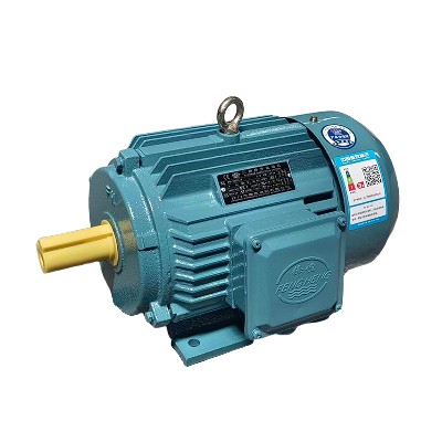 FH series motor